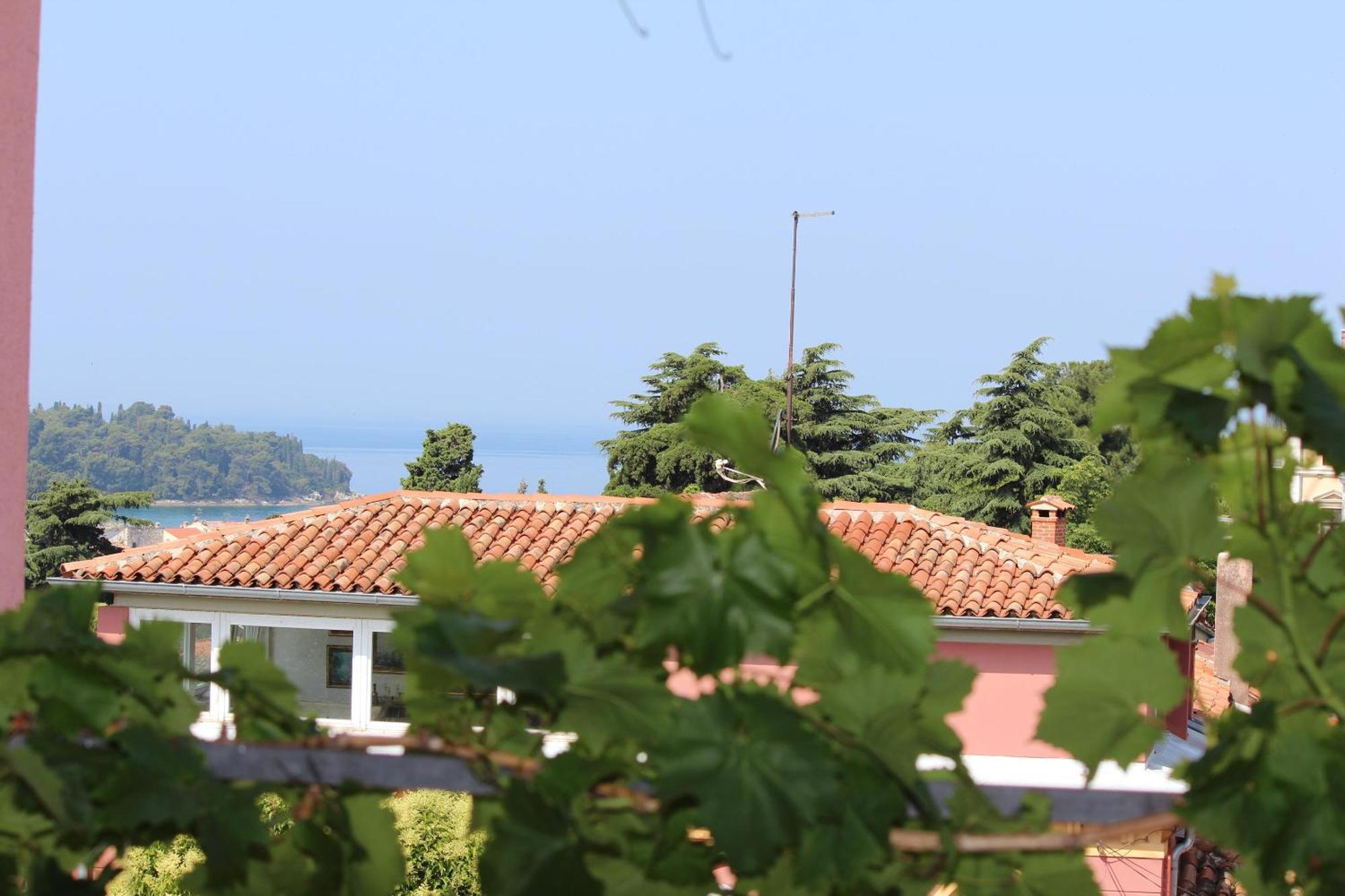 Horizont *
